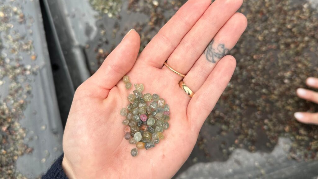 Rough montana sapphire