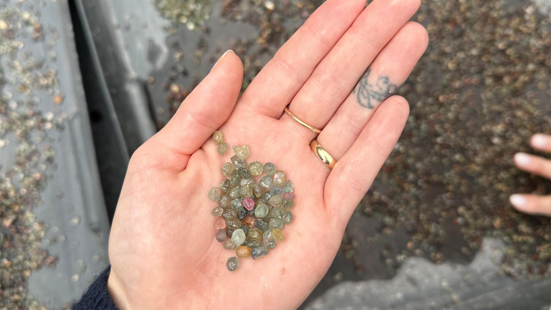 Out & About: Mining Saphirs à Rock Creek, Montana