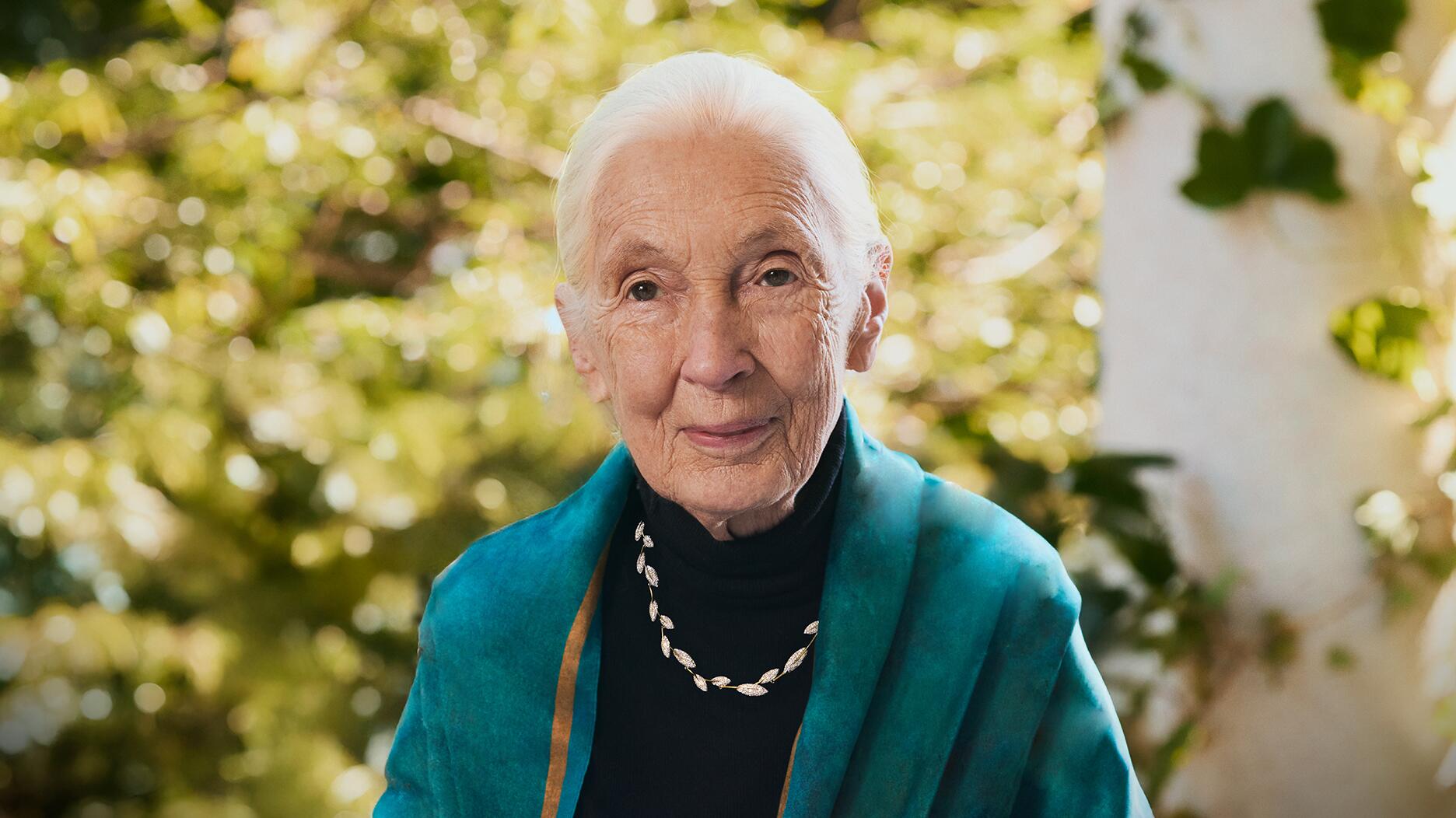 La nouvelle collection Jane Goodall de Brilliant Earth appelle à la paix