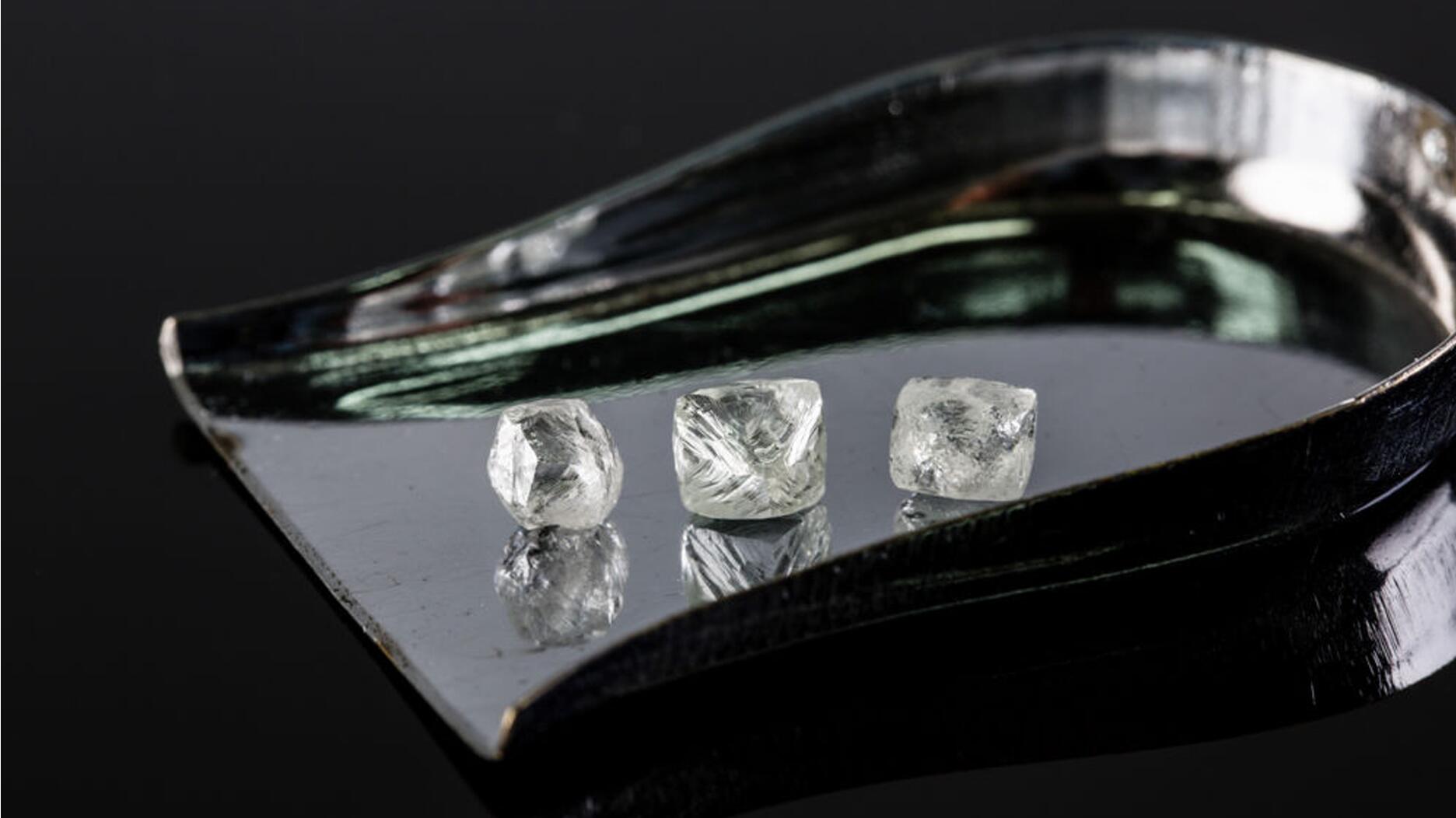 Un autre PDG de Diamond Company démissionne