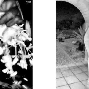 JSA offre une récompense de 10 000 $ dans l'affaire Nancy Guthrie