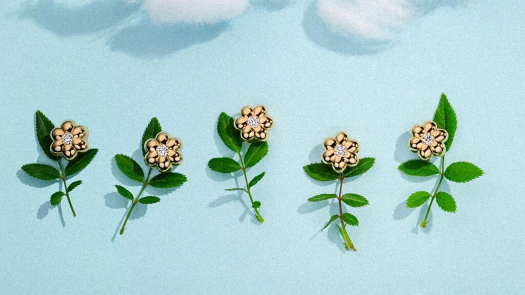 Boochier Flower Puff Campaign