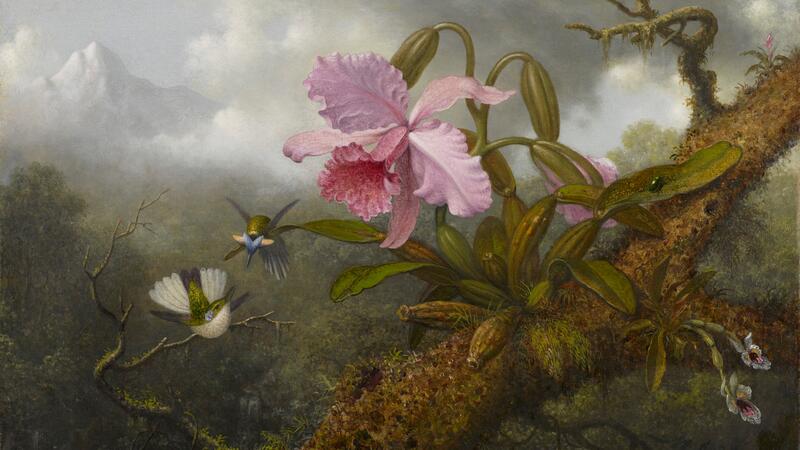 Martin Johnson Heade Cattleya Orchid Deux colibris et un scarabée