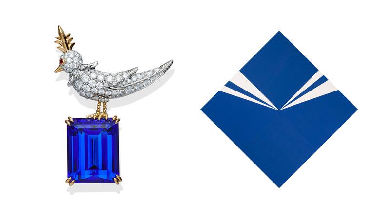 Oiseau tanzanite sur un rocher Carmer Herrare Céruléen